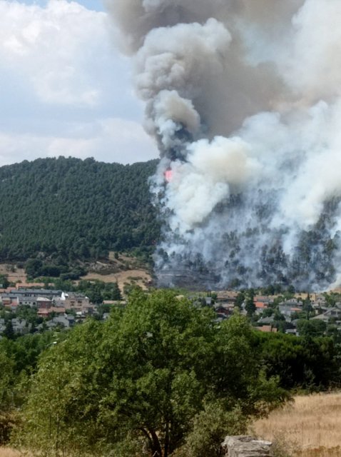 Incendio Cerro del Castillo en 2022