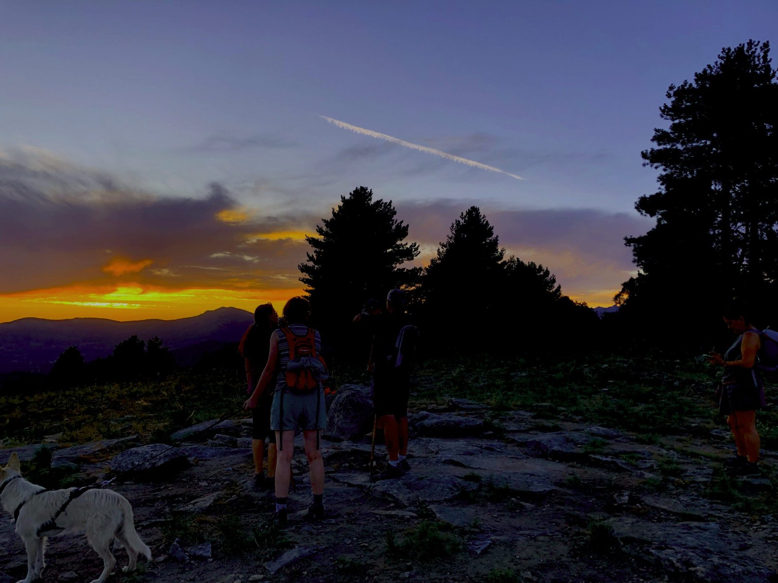 Excursión nocturna por el primer aniversario del incendio