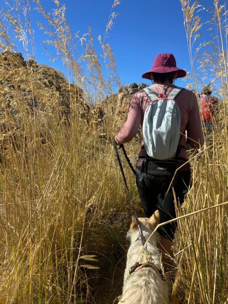 Paseo segundo aniversario Cerro del Castillo