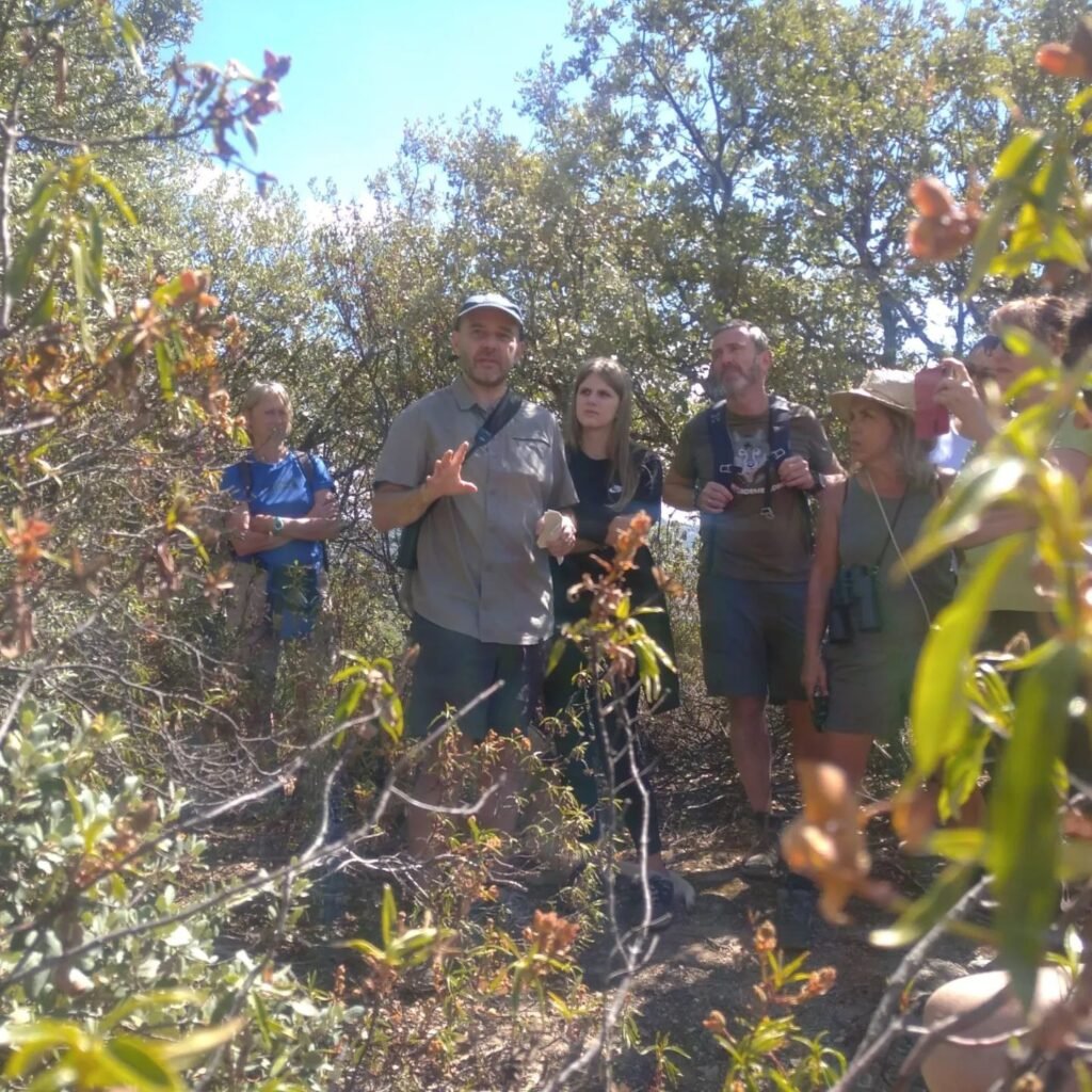 Primer Paseo botánico por el monte